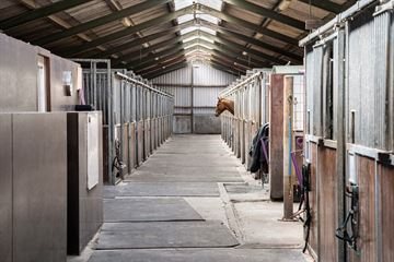 Ruime paardenstallen